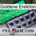 Golden Erection new04